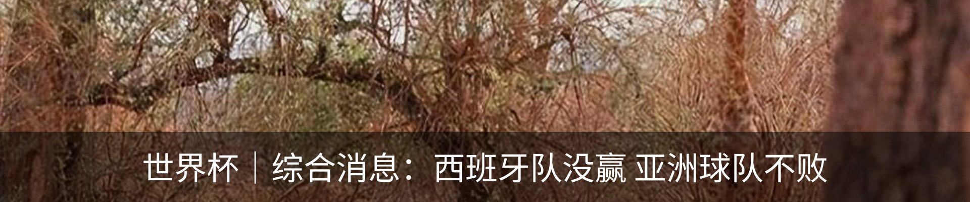 资讯动态